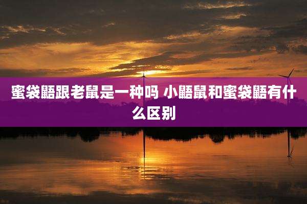 蜜袋鼯跟老鼠是一种吗 小鼯鼠和蜜袋鼯有什么区别