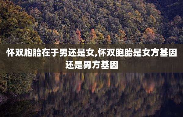 怀双胞胎在于男还是女,怀双胞胎是女方基因还是男方基因