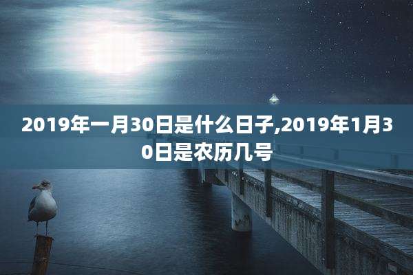 2019年一月30日是什么日子,2019年1月30日是农历几号