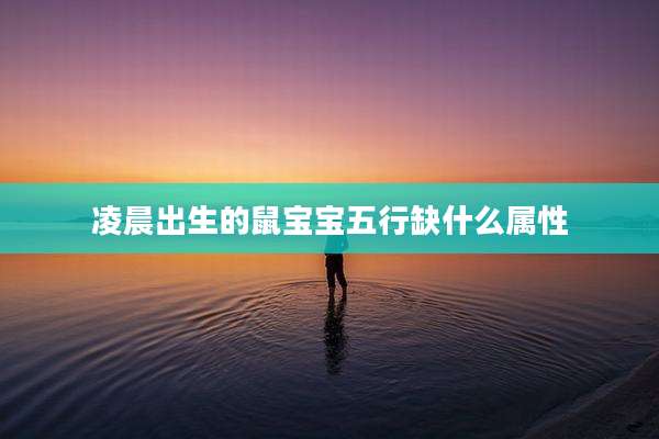 凌晨出生的鼠宝宝五行缺什么属性
