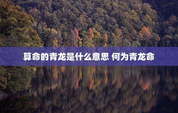 算命的青龙是什么意思 何为青龙命