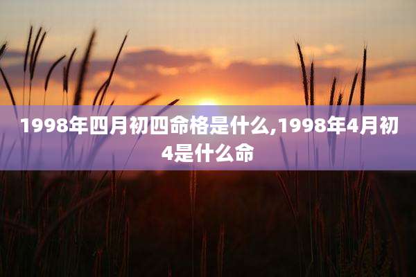 1998年四月初四命格是什么,1998年4月初4是什么命