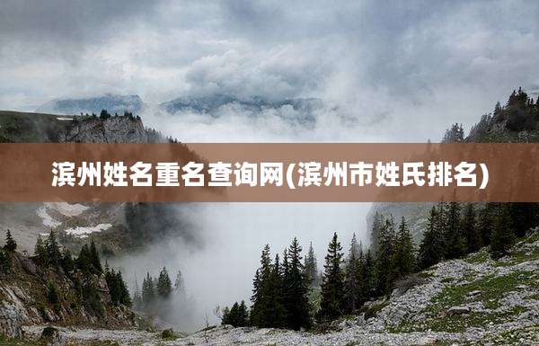 滨州姓名重名查询网(滨州市姓氏排名)