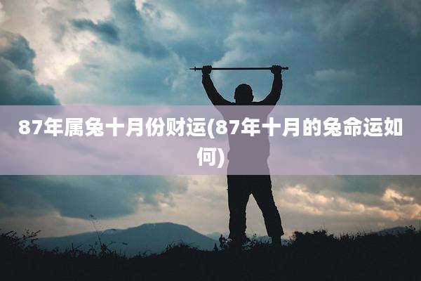 87年属兔十月份财运(87年十月的兔命运如何)