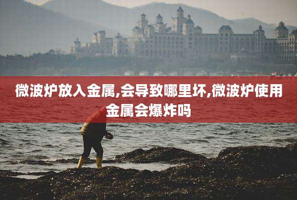 微波炉放入金属,会导致哪里坏,微波炉使用金属会爆炸吗