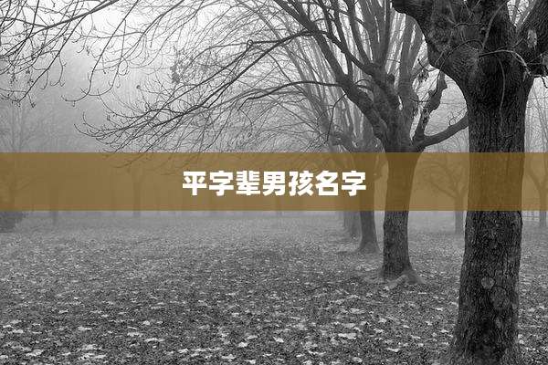 平字辈男孩名字