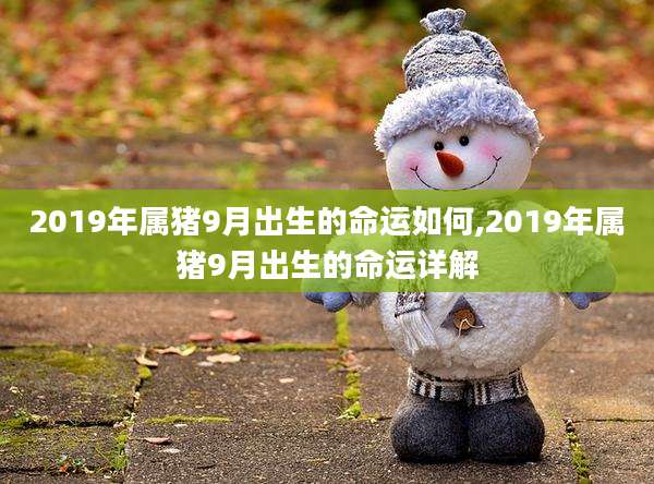 2019年属猪9月出生的命运如何,2019年属猪9月出生的命运详解