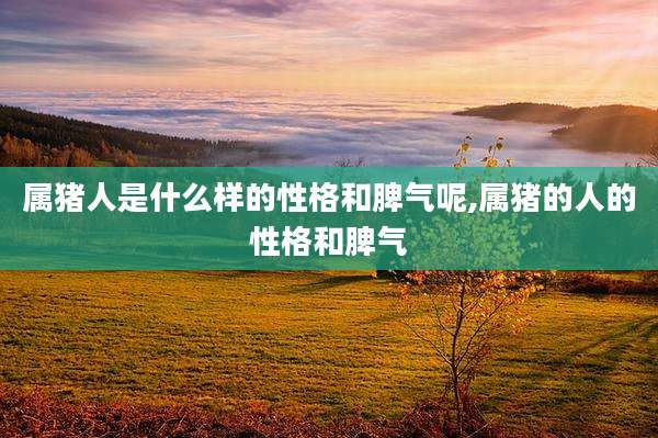 属猪人是什么样的性格和脾气呢,属猪的人的性格和脾气