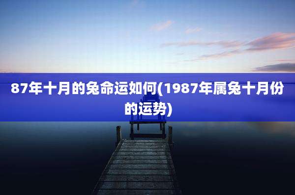 87年十月的兔命运如何(1987年属兔十月份的运势)