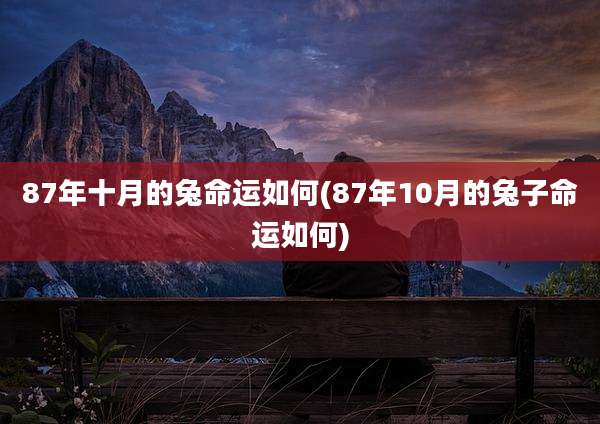 87年十月的兔命运如何(87年10月的兔子命运如何)