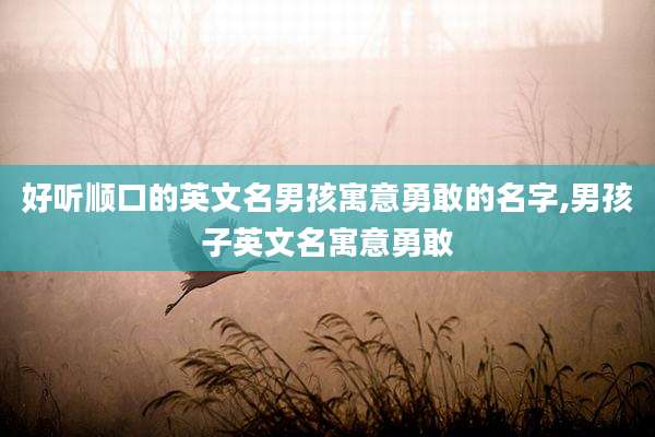 好听顺口的英文名男孩寓意勇敢的名字,男孩子英文名寓意勇敢