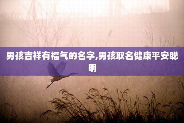男孩吉祥有福气的名字,男孩取名健康平安聪明
