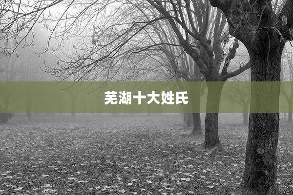 芜湖十大姓氏