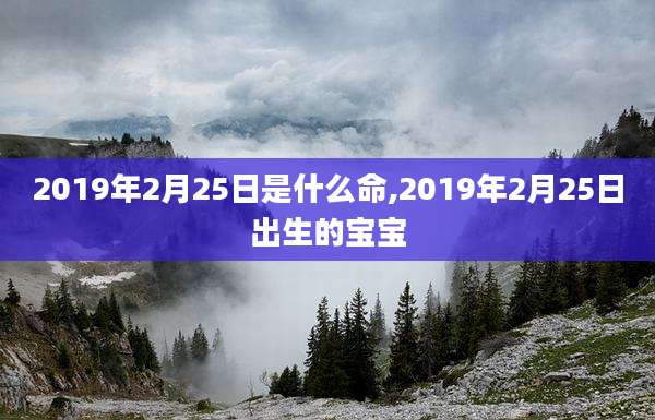 2019年2月25日是什么命,2019年2月25日出生的宝宝