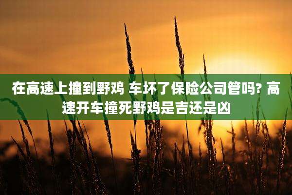 在高速上撞到野鸡 车坏了保险公司管吗? 高速开车撞死野鸡是吉还是凶