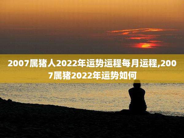 2007属猪人2022年运势运程每月运程,2007属猪2022年运势如何