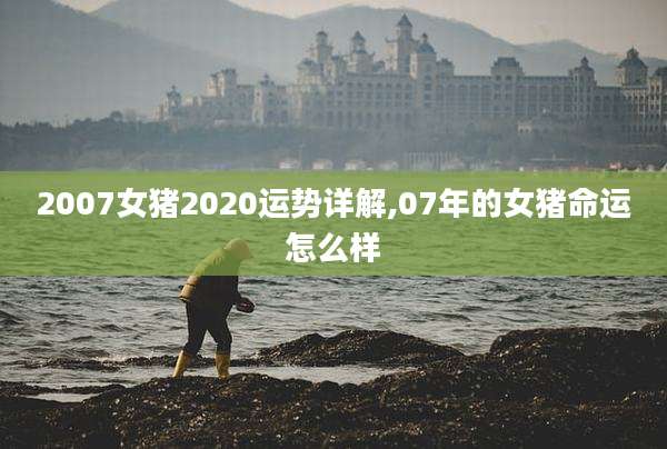 2007女猪2020运势详解,07年的女猪命运怎么样