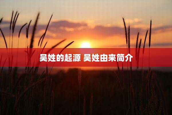 吴姓的起源 吴姓由来简介