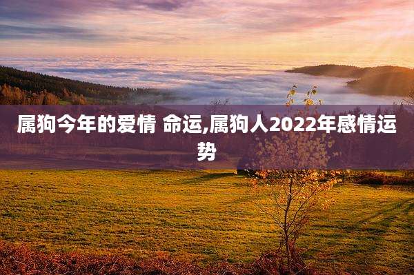 属狗今年的爱情 命运,属狗人2022年感情运势