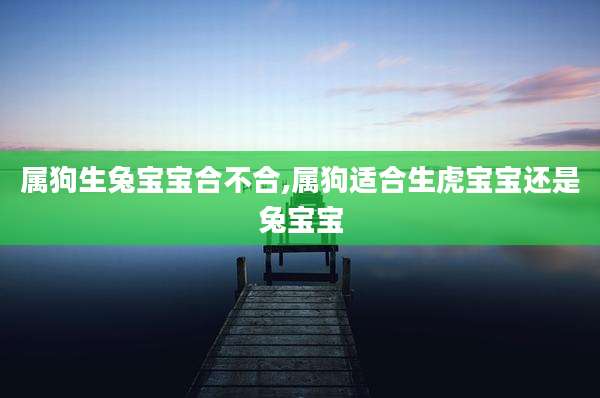 属狗生兔宝宝合不合,属狗适合生虎宝宝还是兔宝宝