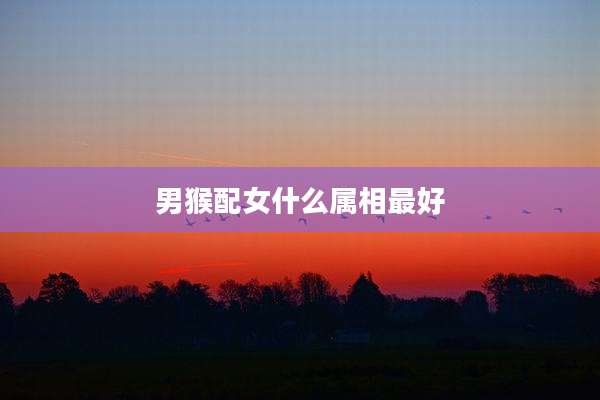 男猴配女什么属相最好