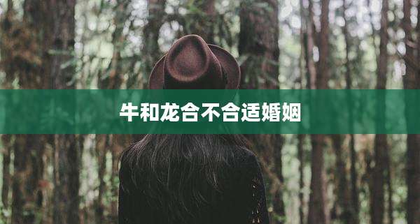 牛和龙合不合适婚姻