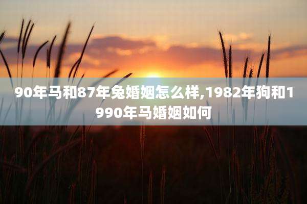 90年马和87年兔婚姻怎么样,1982年狗和1990年马婚姻如何