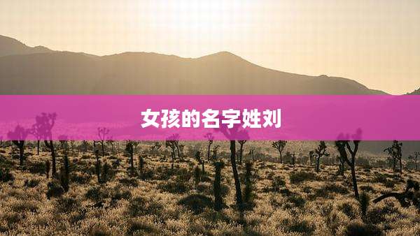女孩的名字姓刘