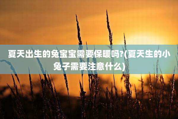 夏天出生的兔宝宝需要保暖吗?(夏天生的小兔子需要注意什么)