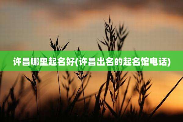 许昌哪里起名好(许昌出名的起名馆电话)