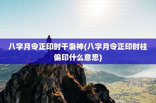 八字月令正印时干袅神(八字月令正印时柱偏印什么意思)