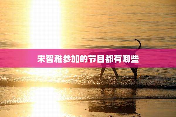宋智雅参加的节目都有哪些