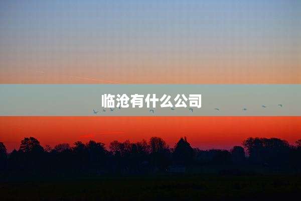 临沧有什么公司