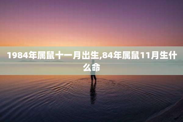 1984年属鼠十一月出生,84年属鼠11月生什么命