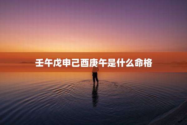 壬午戊申己酉庚午是什么命格