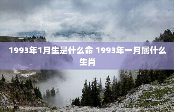 1993年1月生是什么命 1993年一月属什么生肖