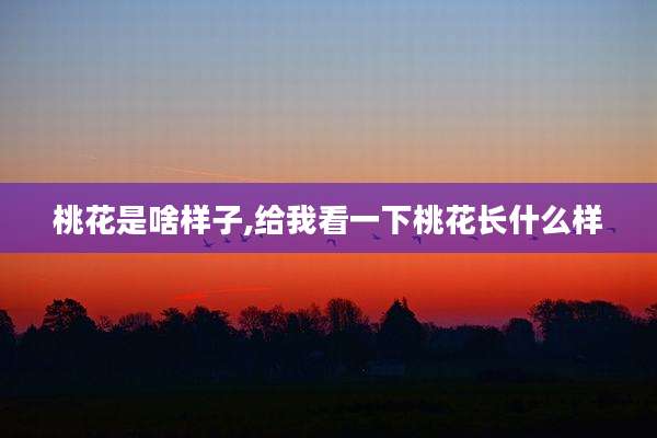 桃花是啥样子,给我看一下桃花长什么样