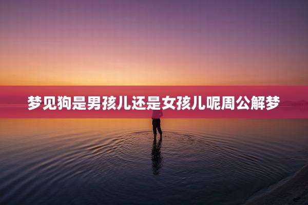 梦见狗是男孩儿还是女孩儿呢周公解梦