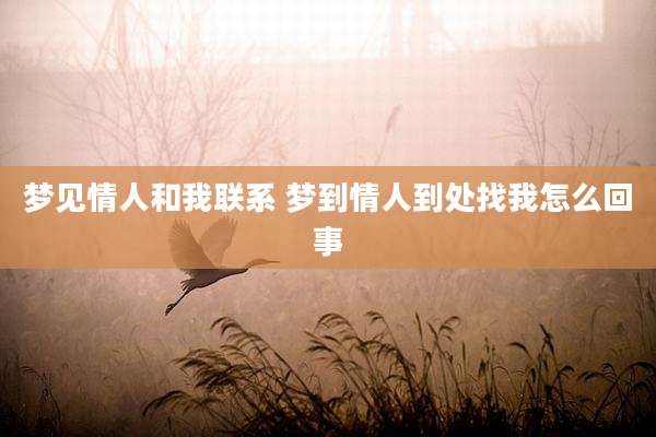 梦见情人和我联系 梦到情人到处找我怎么回事