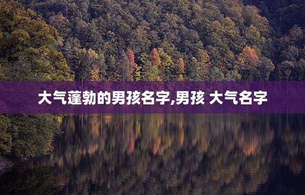 大气蓬勃的男孩名字,男孩 大气名字