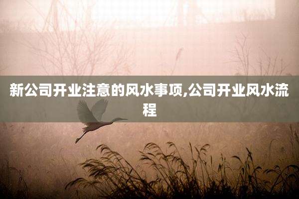 新公司开业注意的风水事项,公司开业风水流程