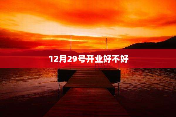 12月29号开业好不好