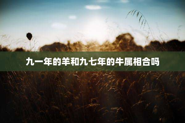 九一年的羊和九七年的牛属相合吗