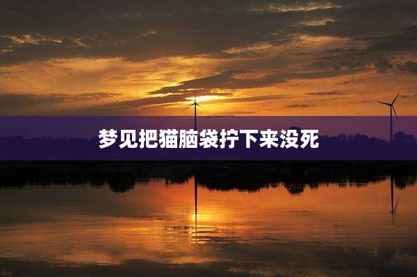 梦见把猫脑袋拧下来没死