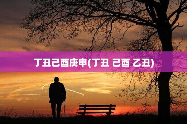 丁丑己酉庚申(丁丑 己酉 乙丑)