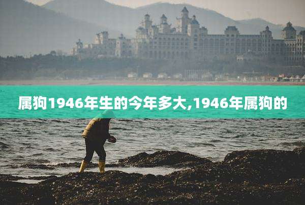 属狗1946年生的今年多大,1946年属狗的