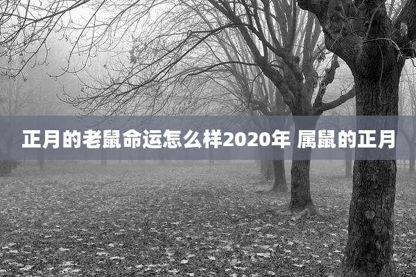 正月的老鼠命运怎么样2020年 属鼠的正月