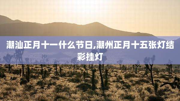 潮汕正月十一什么节日,潮州正月十五张灯结彩挂灯