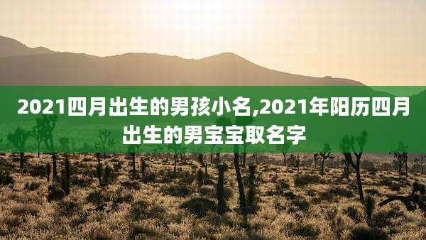2021四月出生的男孩小名,2021年阳历四月出生的男宝宝取名字