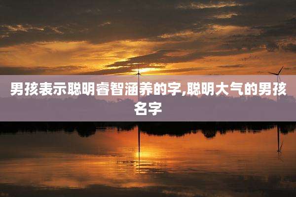 男孩表示聪明睿智涵养的字,聪明大气的男孩名字